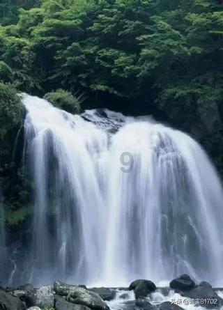 绿色治疗解患者病痛,淄博市中西医结合医院获赠锦旗